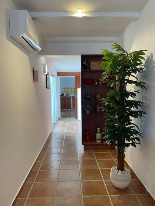 Villa Casa Da Oliveira Mourão Esterno foto