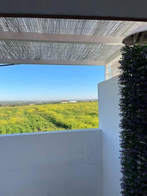 Villa Casa Da Oliveira Mourão Esterno foto